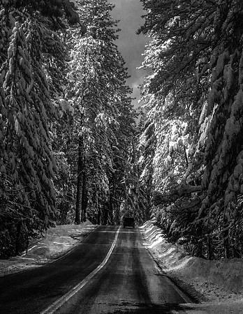 After the Storm