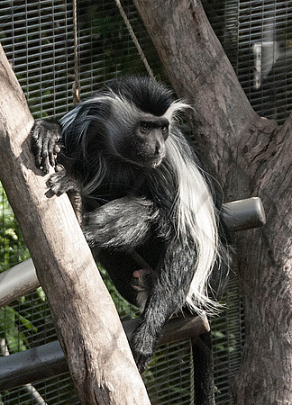 San Diego Zoo