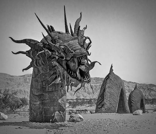 Dragon in the Desert