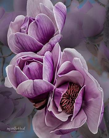 Conversation with a Tulip Tree